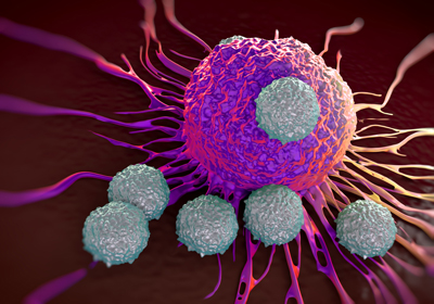 closeup of immune cells attacking a cancer cell
